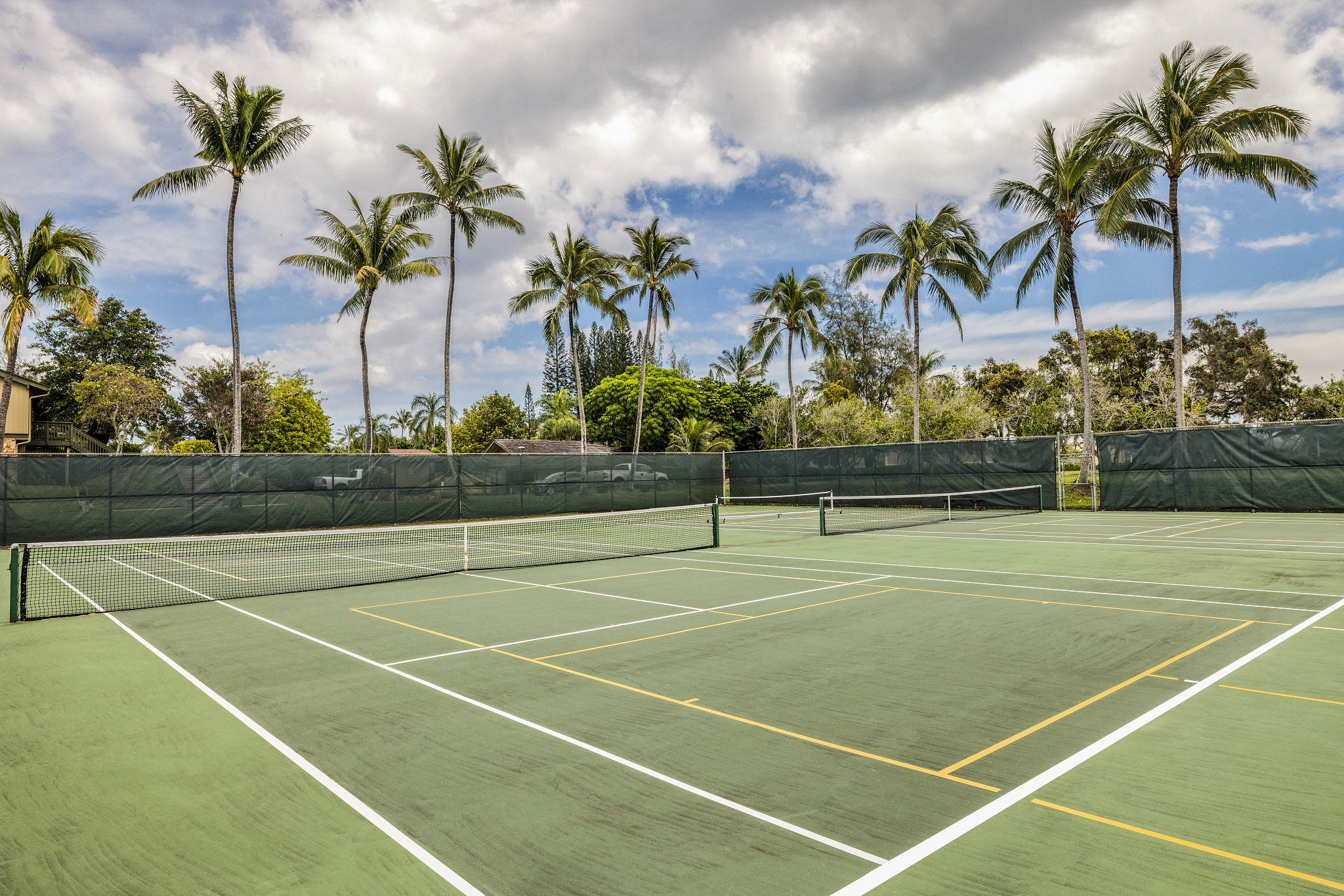 tennis / pickleball courts