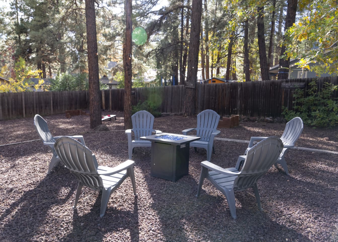 Outdoor seating area surrounded by tall pines, with space to unwind around the fire pit.