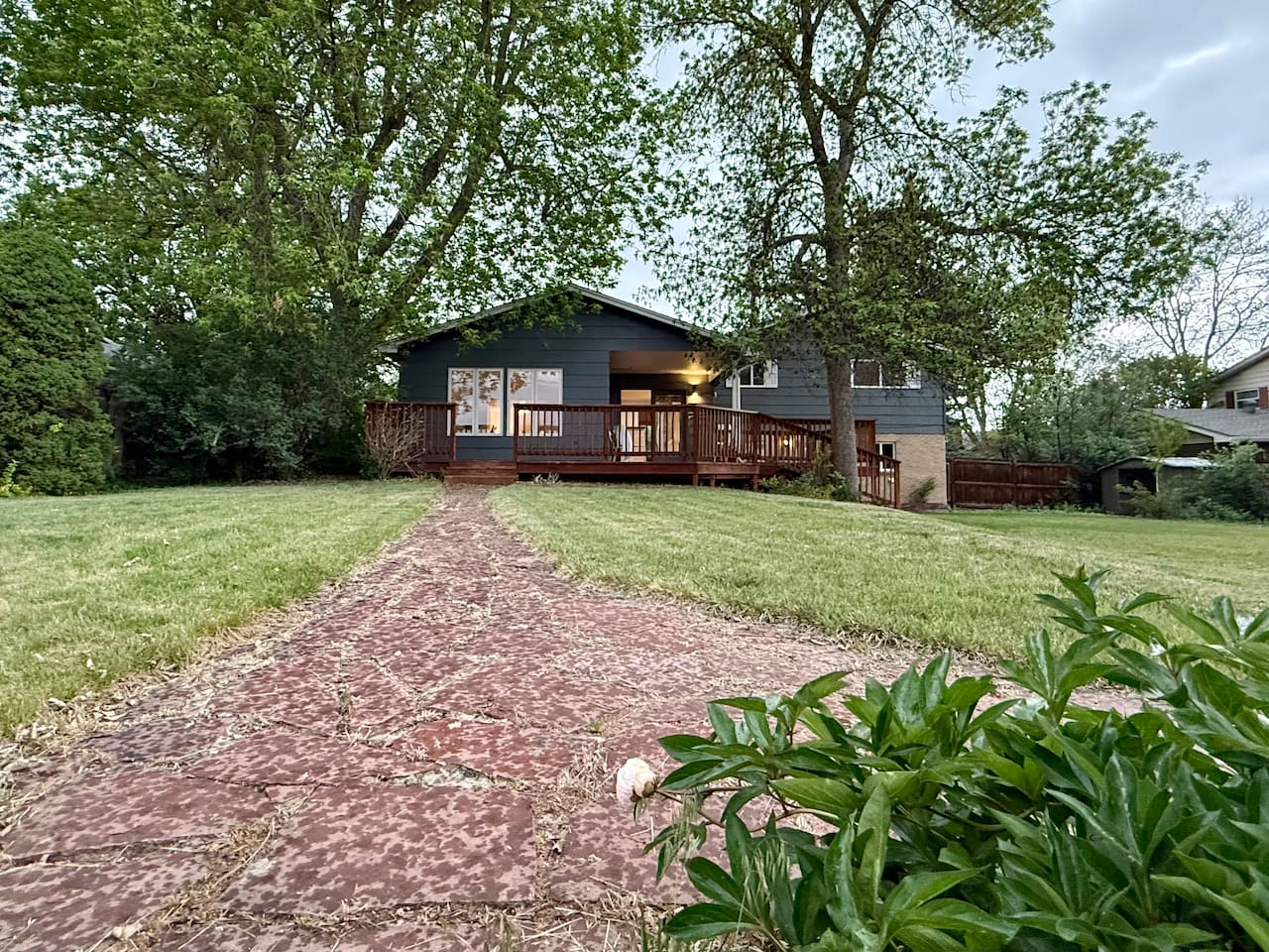 Backyard