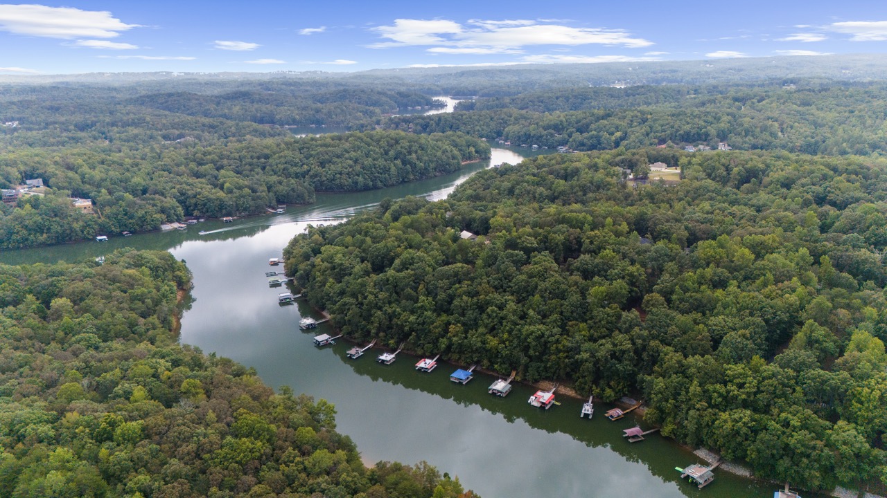 Aerial view of the cove!