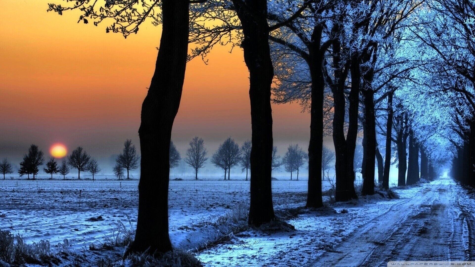 Winter wonderlands