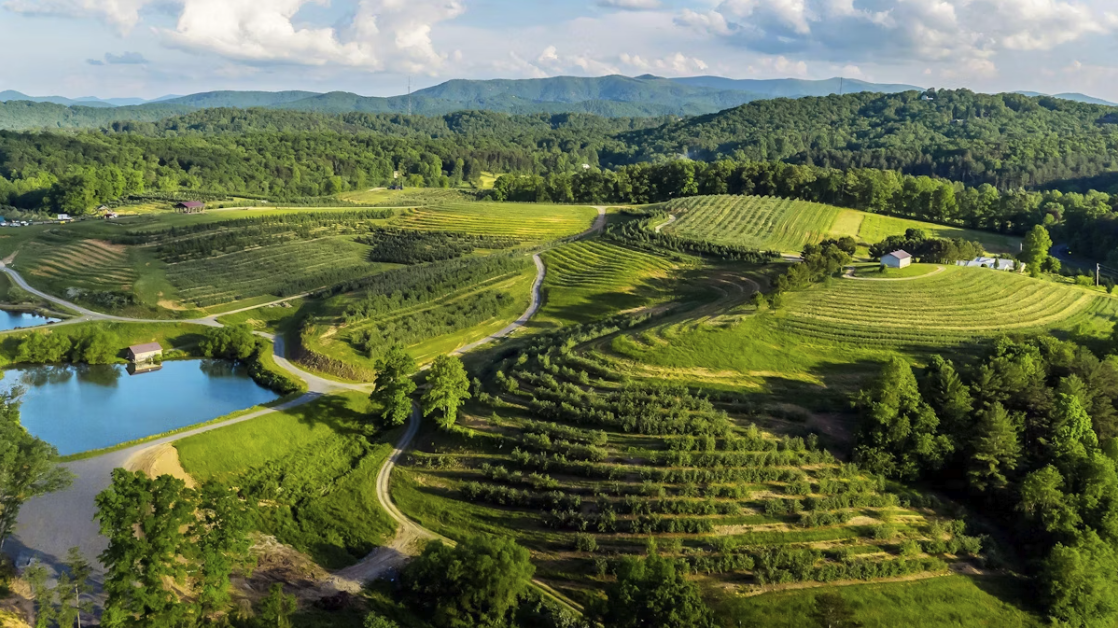 Apple-picking at Mercier Orchard