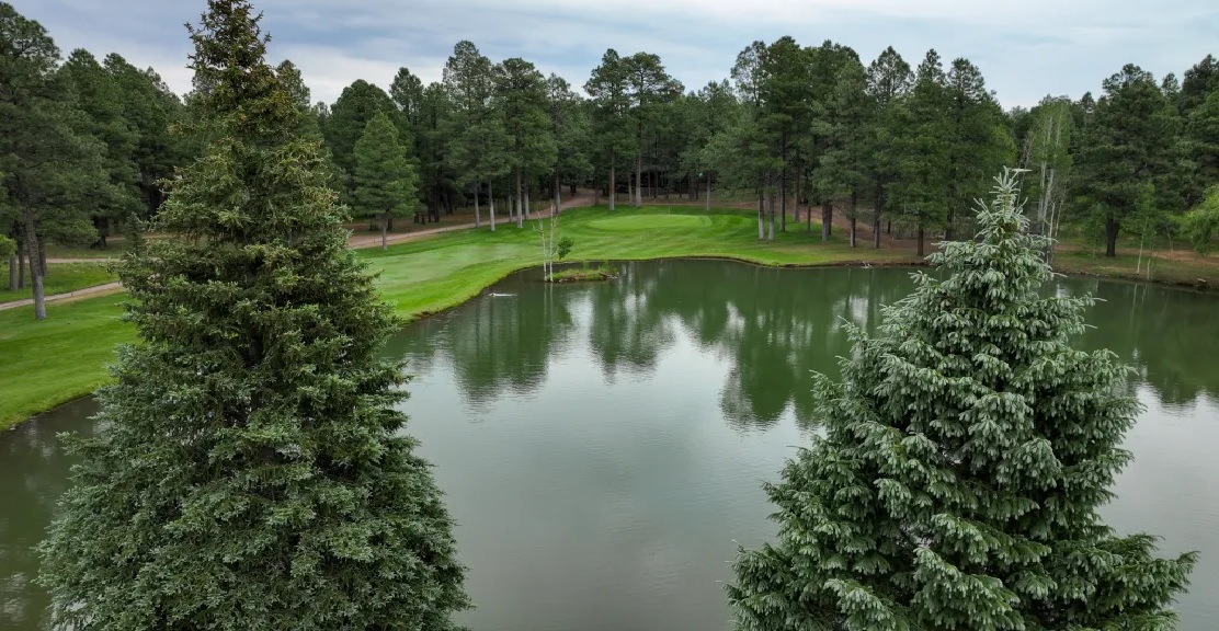 Pinetop Lakes Country Club 