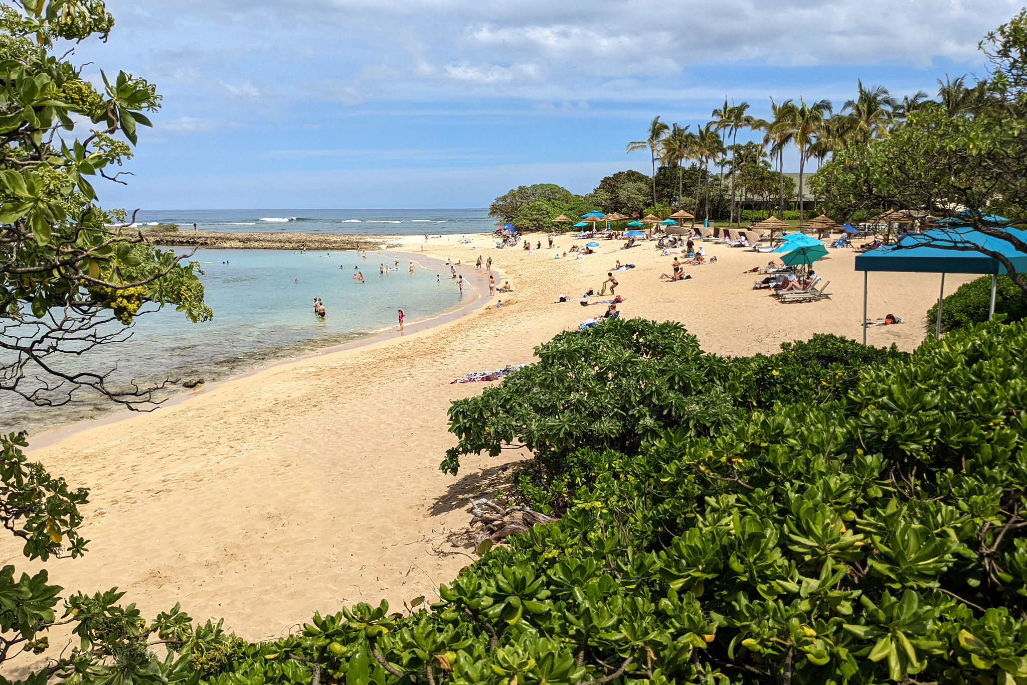 Turtle Bay Resort Beach