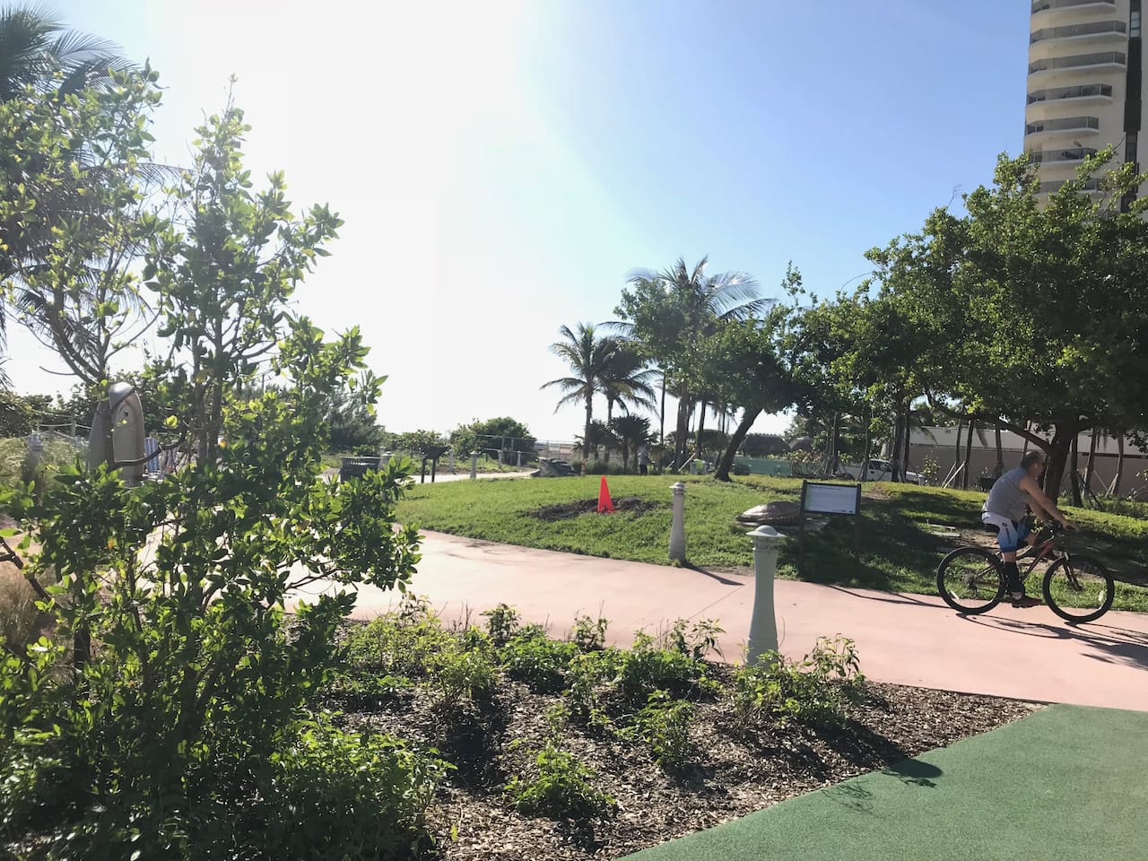 Miami Beach Boardwalk from Allison Park to South Pointe, through world-famous Lummus Park and Ocean Drive, no street crossings, great for biking, running, or walking the dog (complimentary bikes provided)