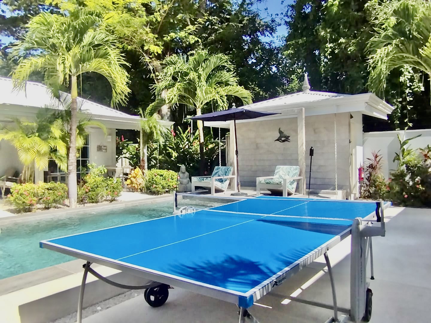 Outdoor Ping Pong