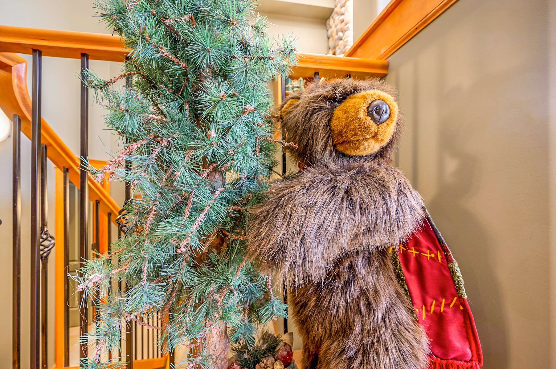 Our Mascot hanging out by the stairs