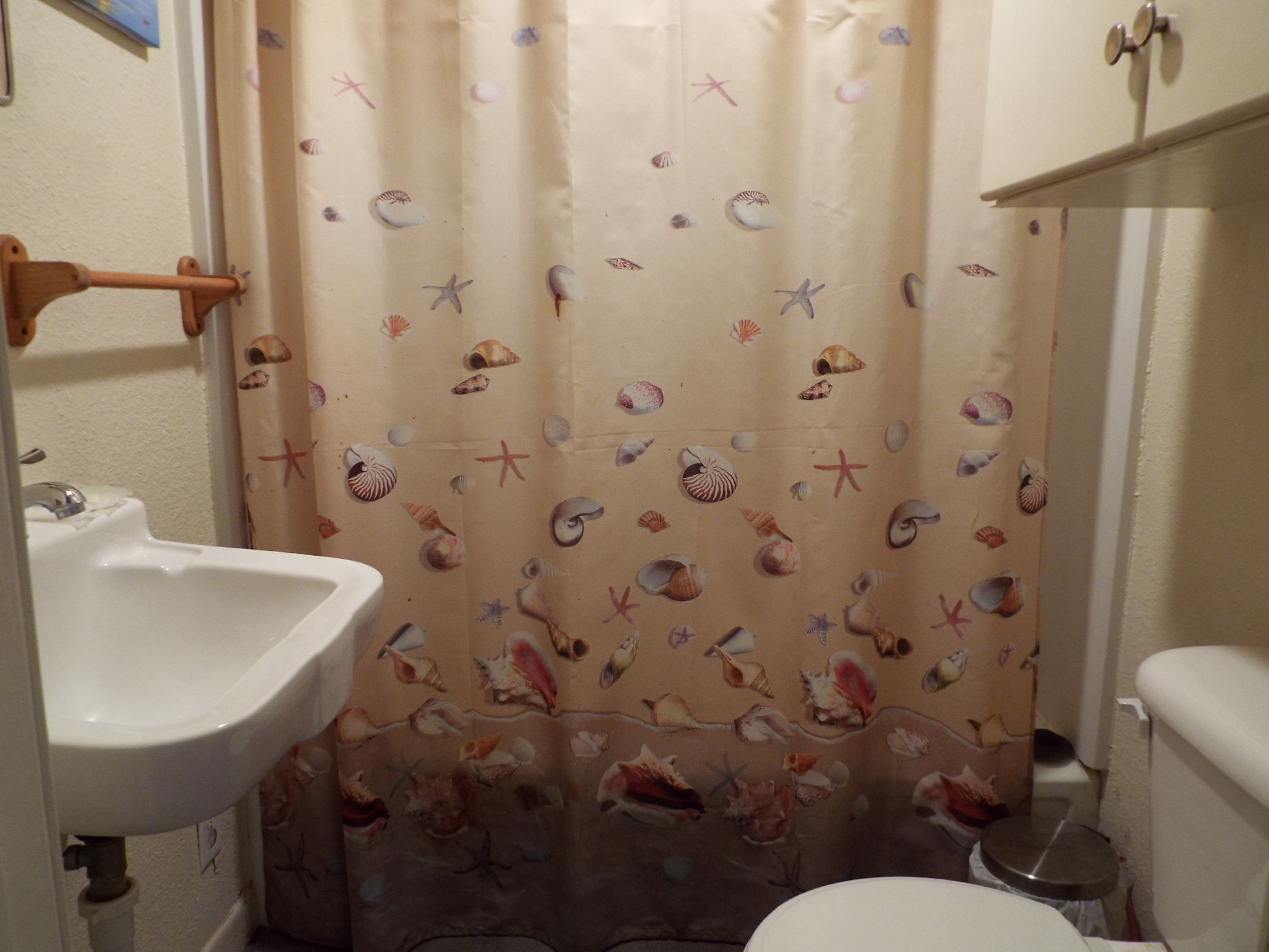 Guest bath with tub shower combo