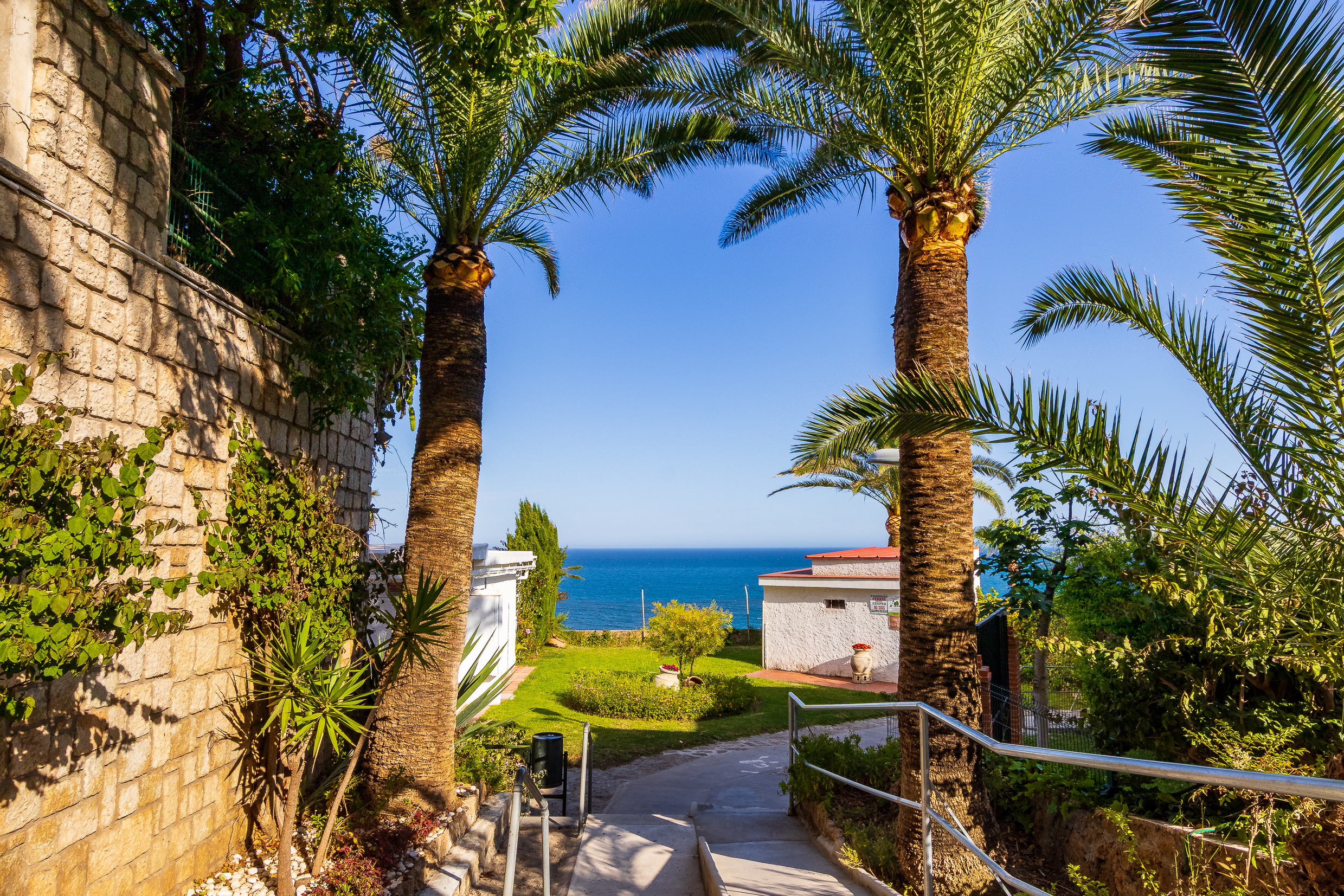 Palm-lined access path leading towards the sea