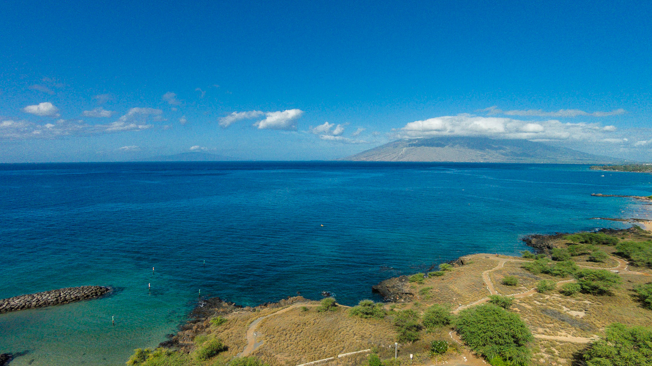 Beaches, ocean, walking paths and bird watching