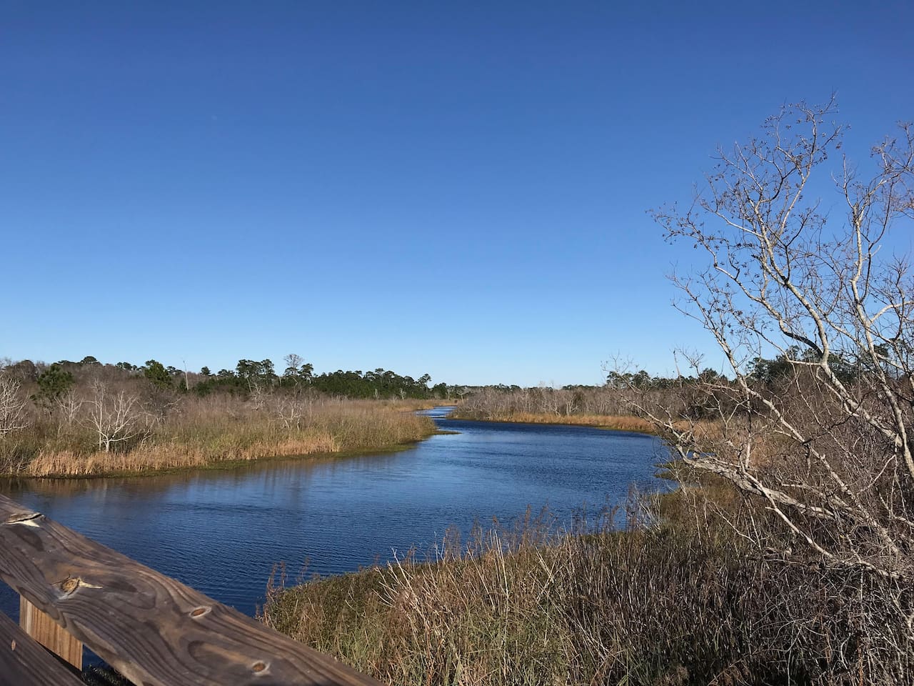 Enjoy the nature to hike or bike, trails about 1.5 miles away.