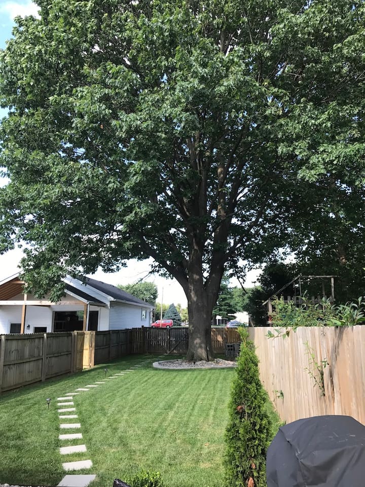 Patio