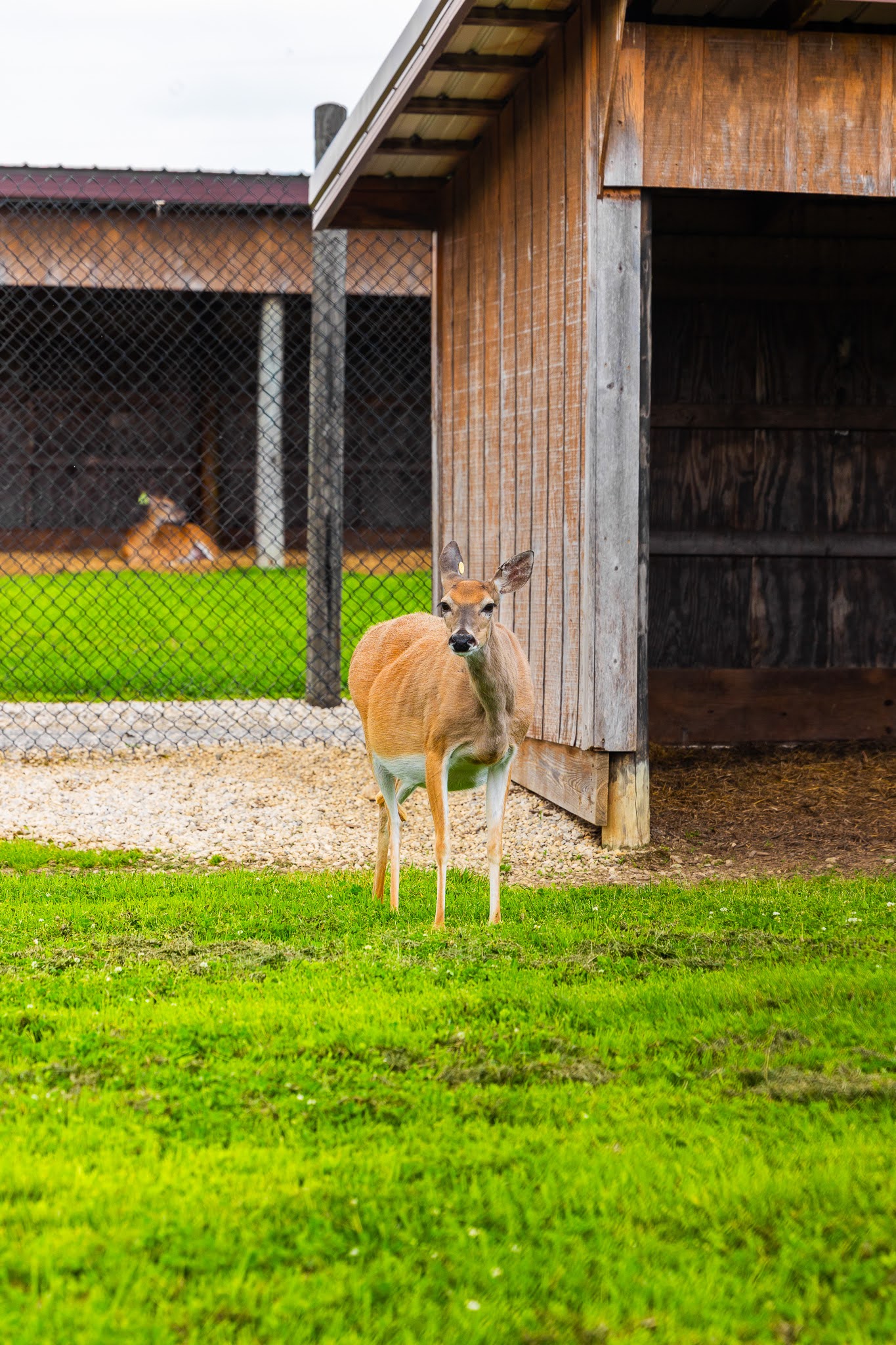 Double H Whitetails; Book a Tour