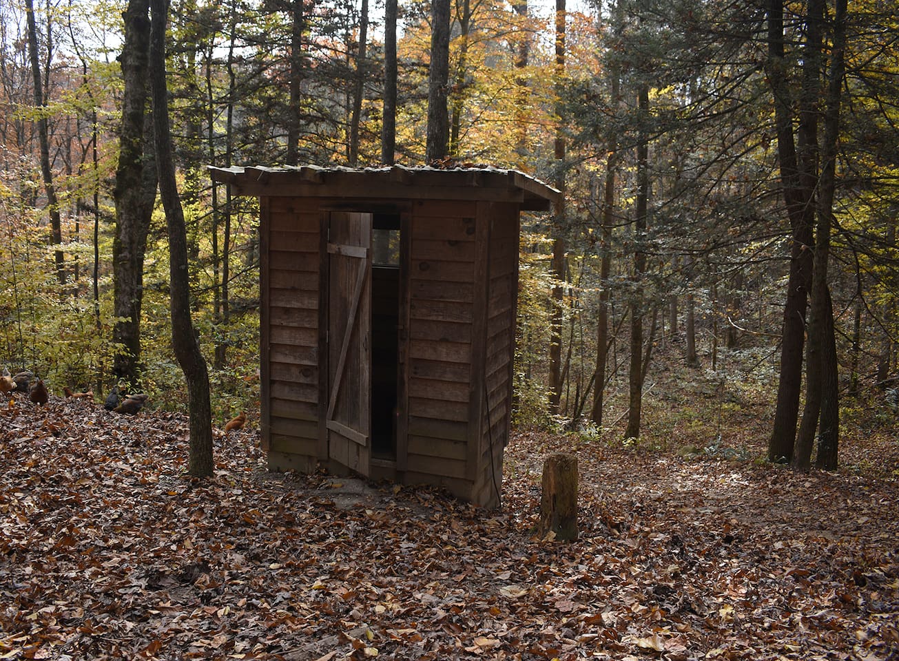Composting Toilet