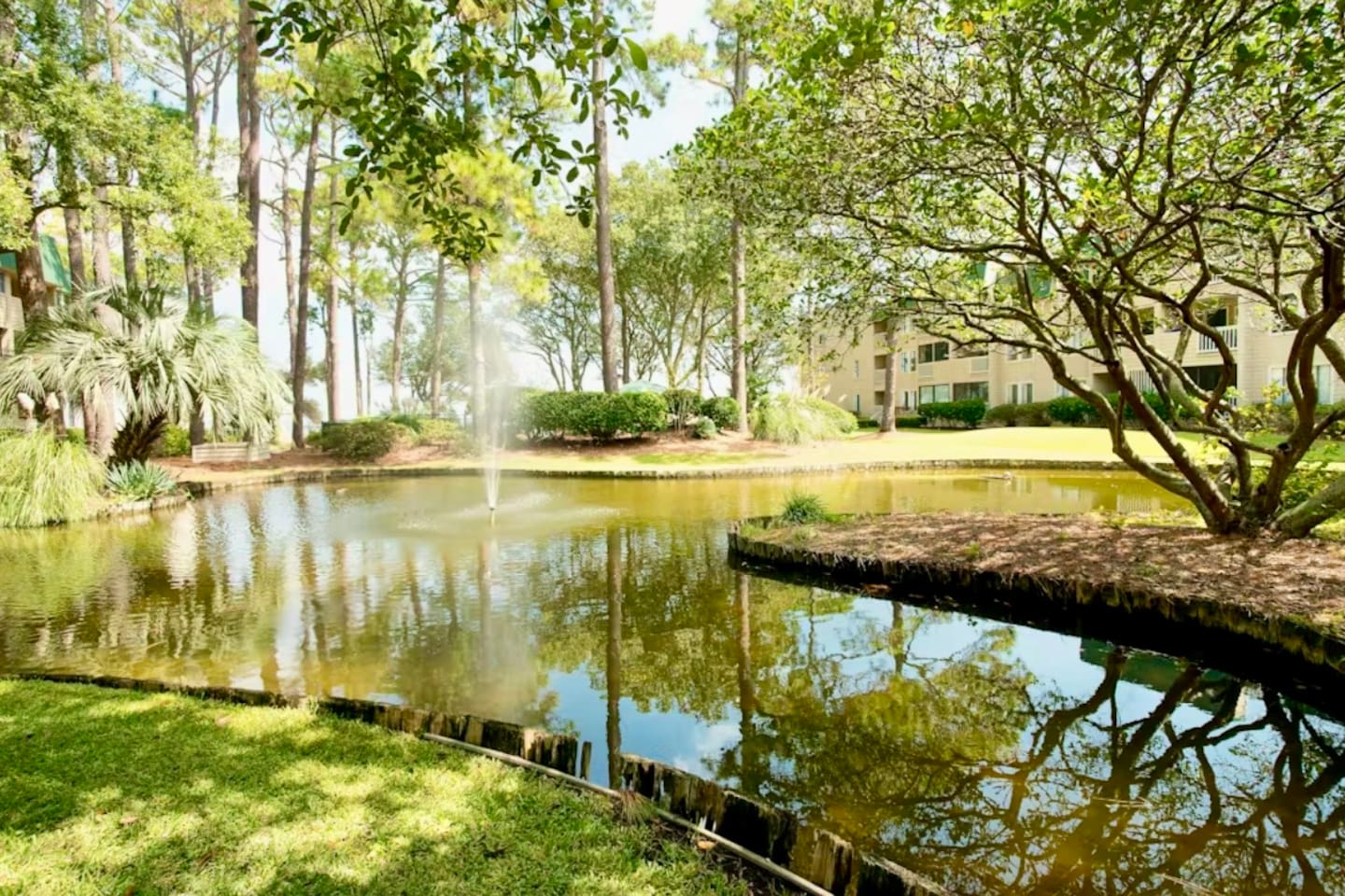 Garden pond with fountain
