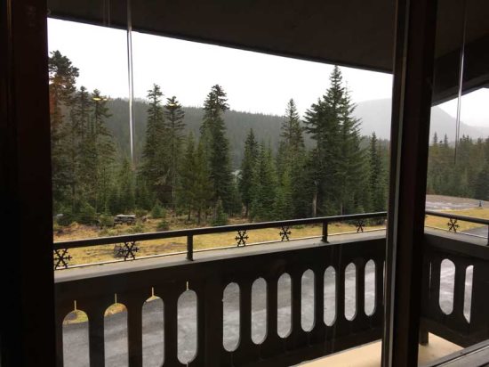View from living room window.