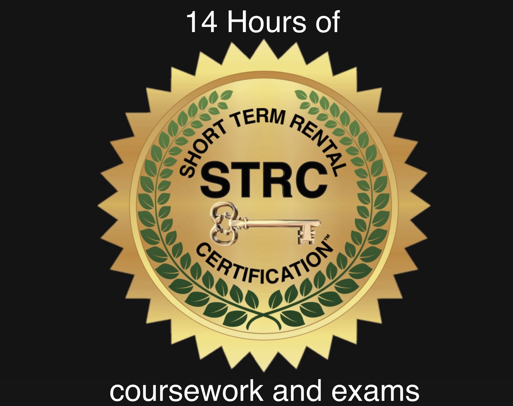 Your hosts are professionals and take their responsibilities very seriously.
