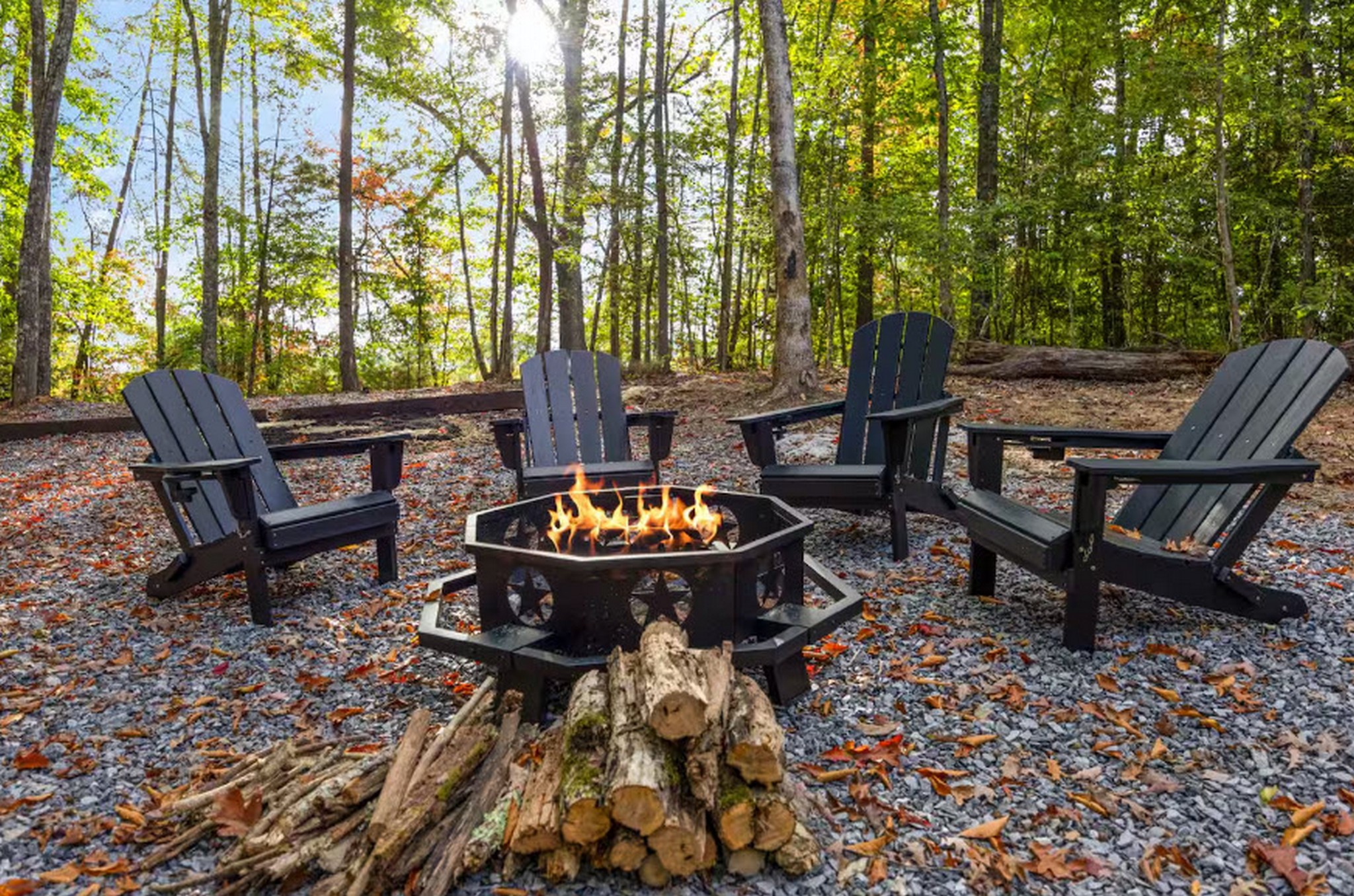 Firepit surrounded by woods