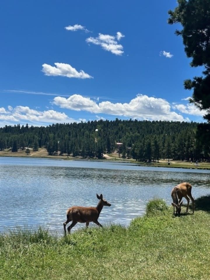 Deer at Monte Verde Lake in Angel Fire