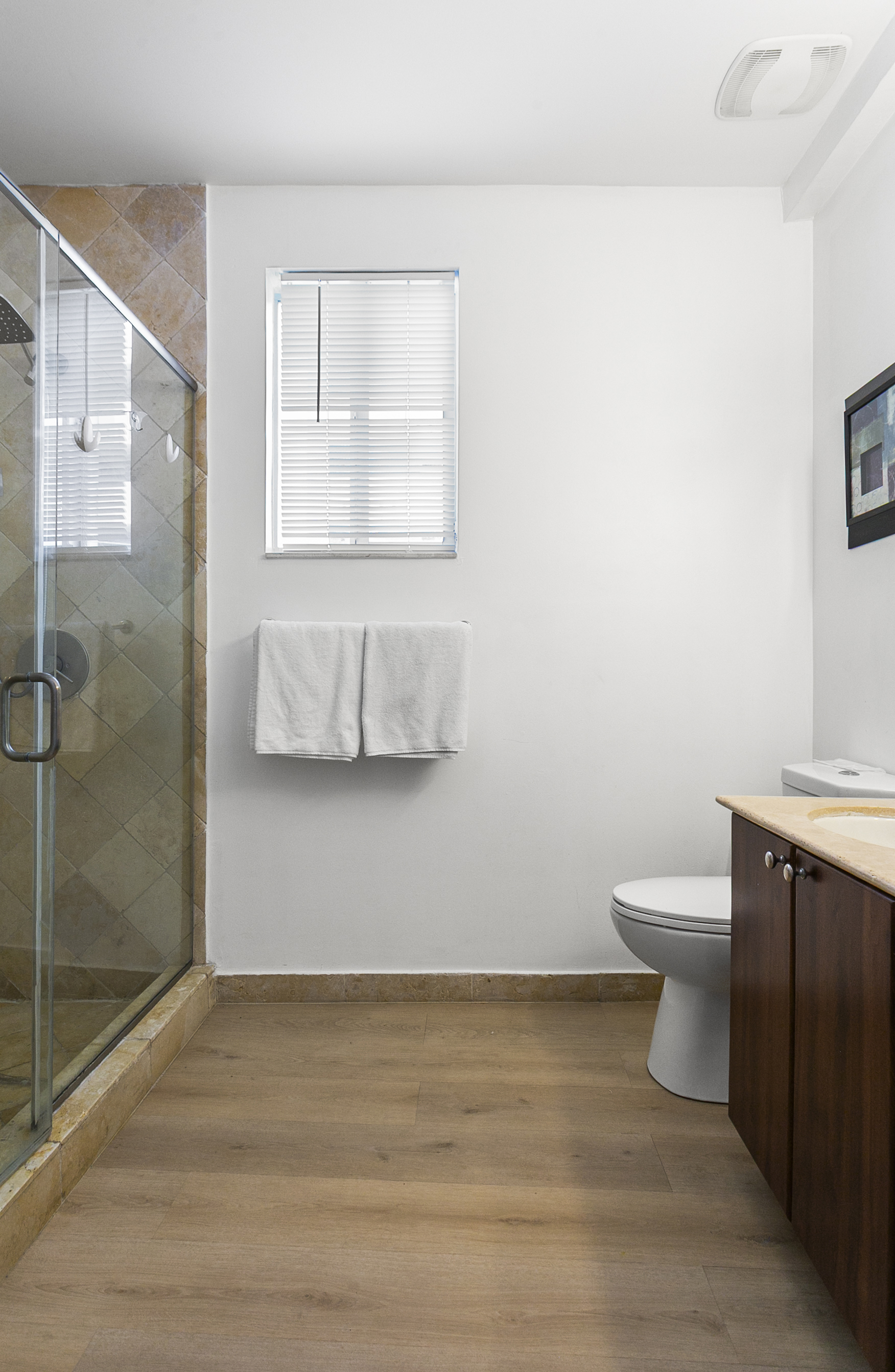 Primary Suite en-suite bath with walk-in shower