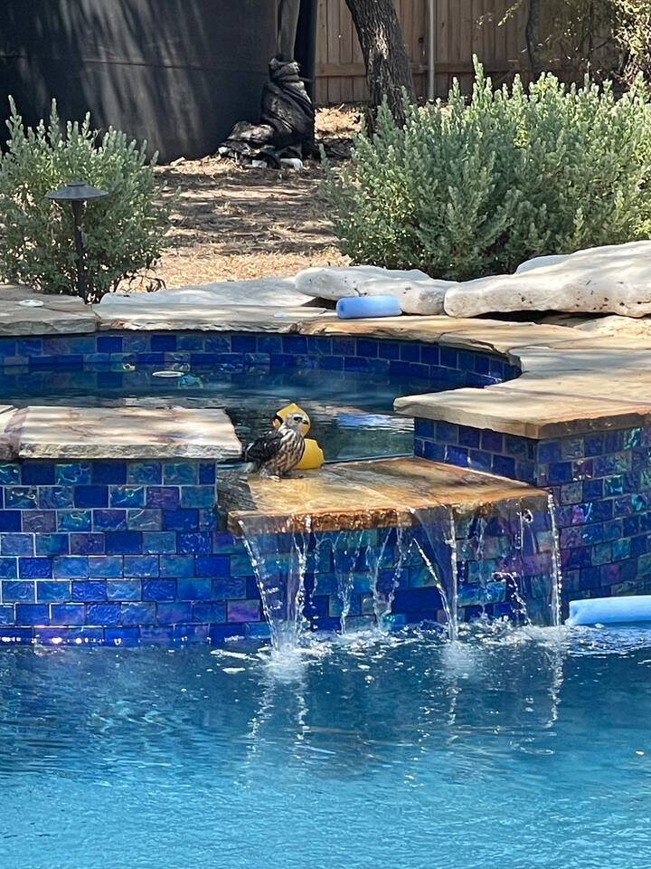 Hot Tub
