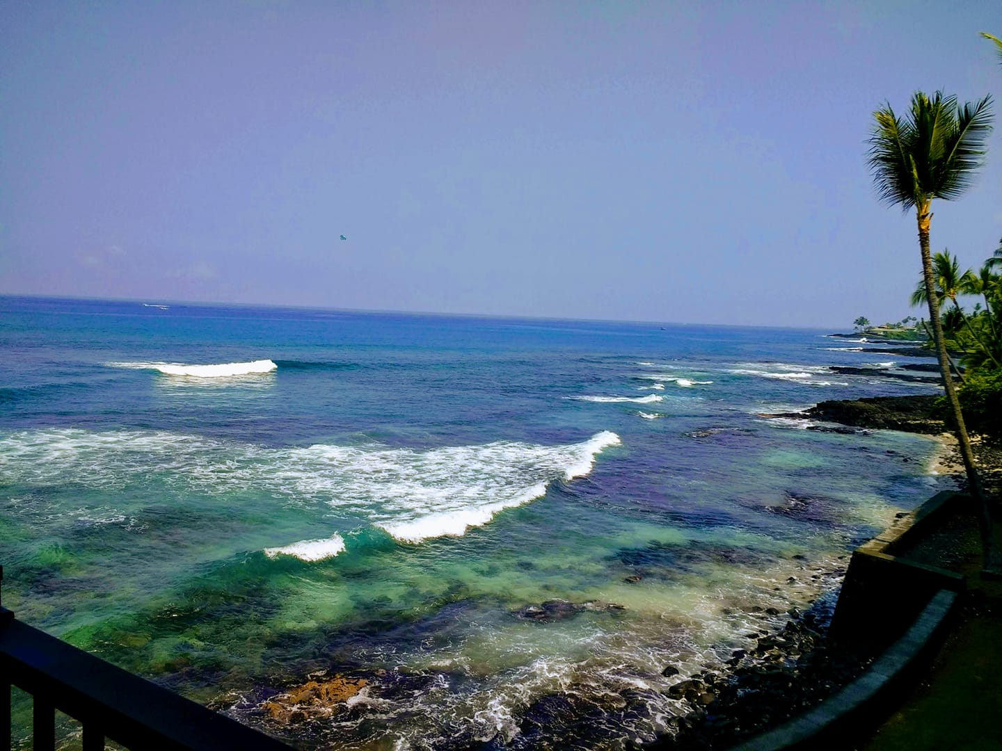 View from Banyan Tree