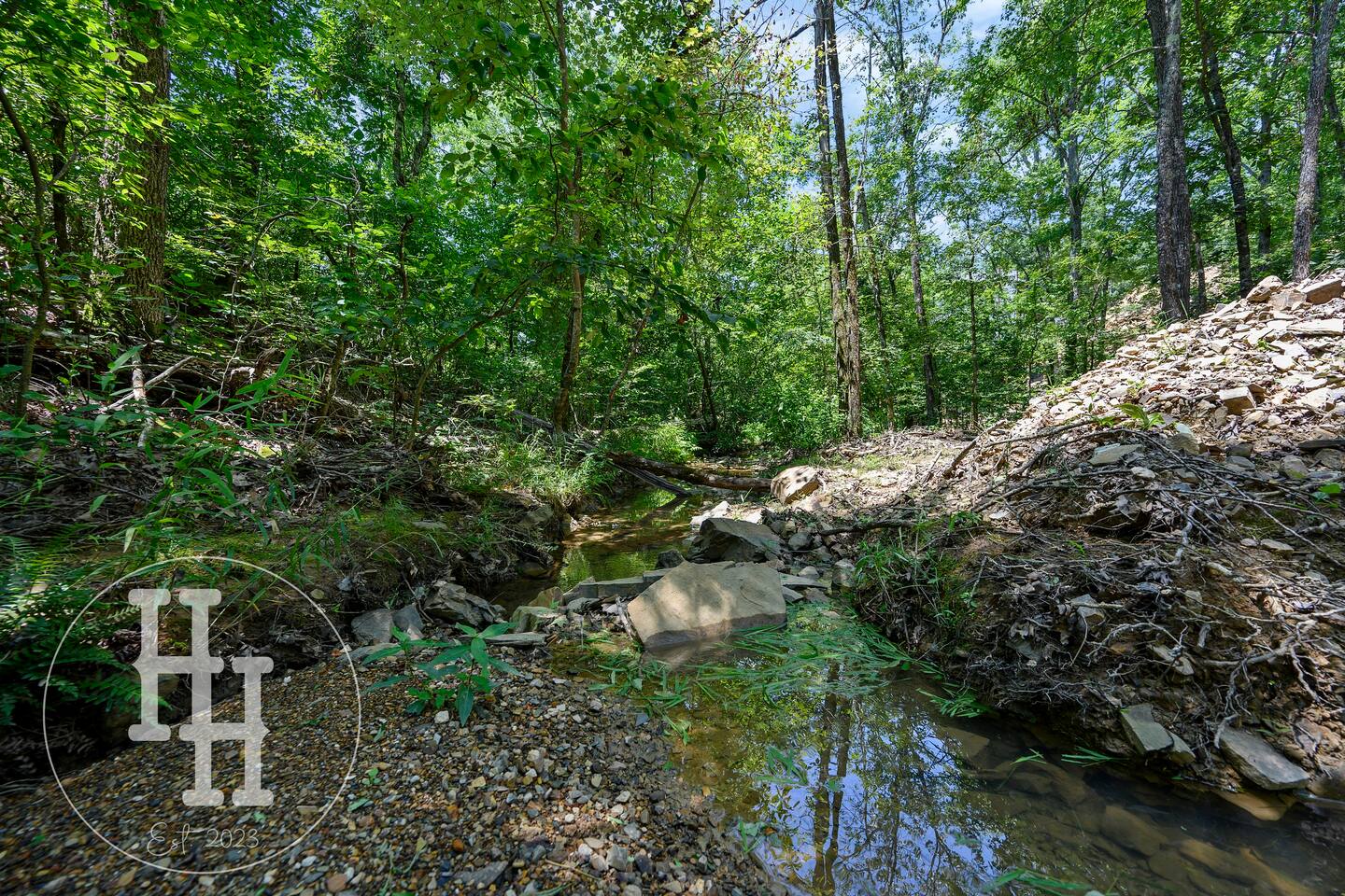 Creek view