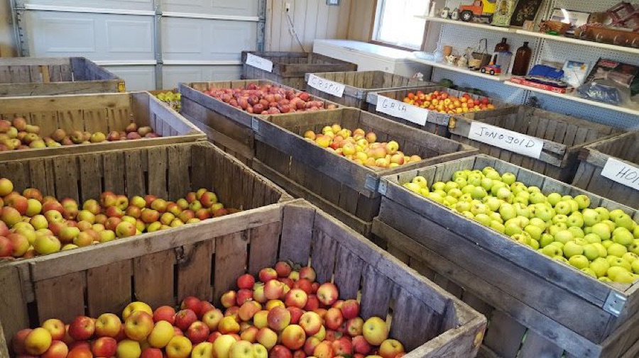 Roy&rsquo;s Farm Market