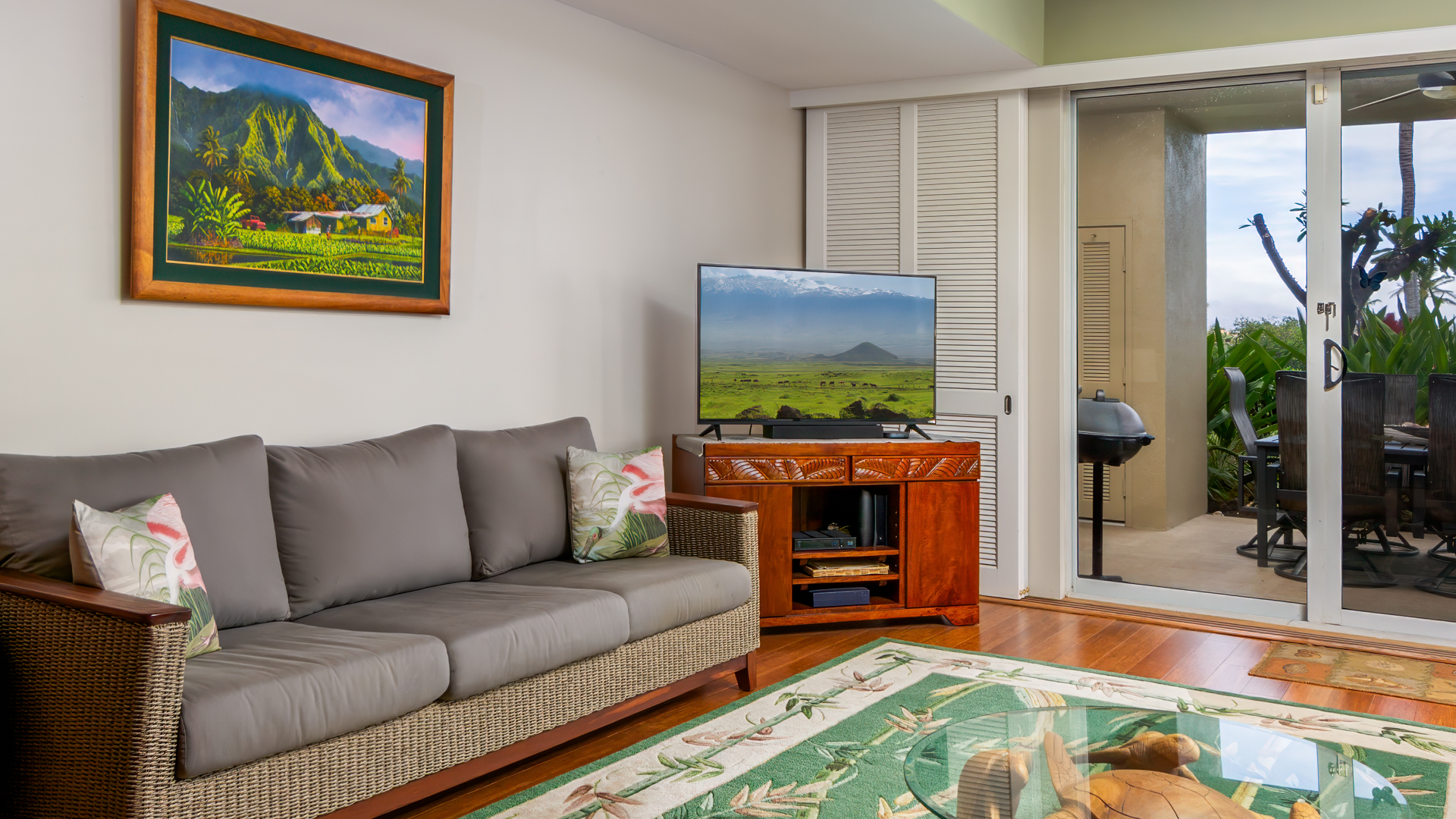 Living Room TV