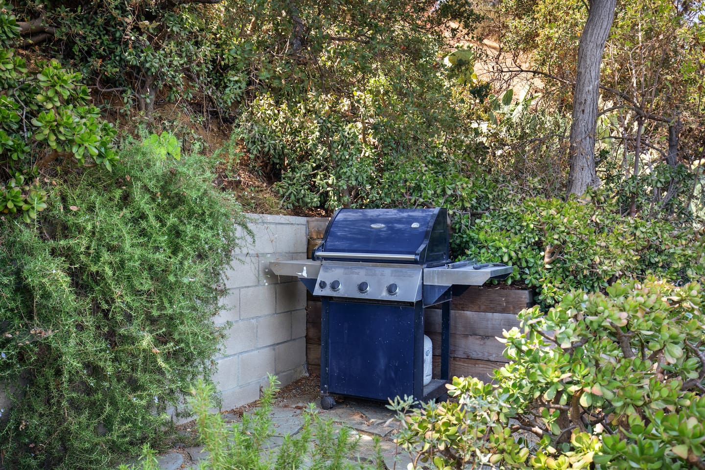 Grill
