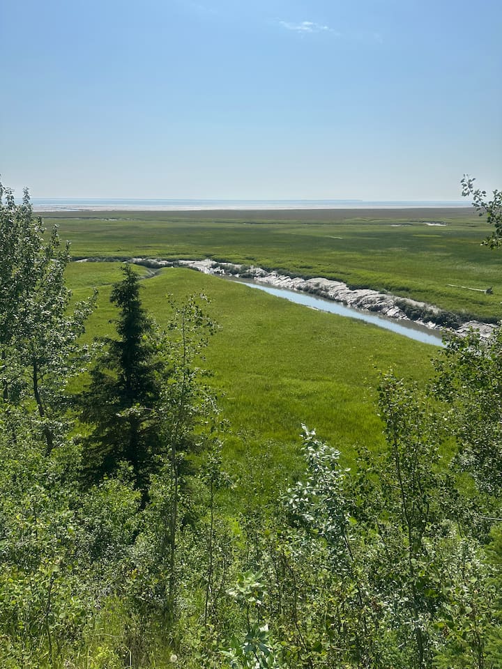 Our neighborhood has a nature trail where moose and bald eagles can often be found.