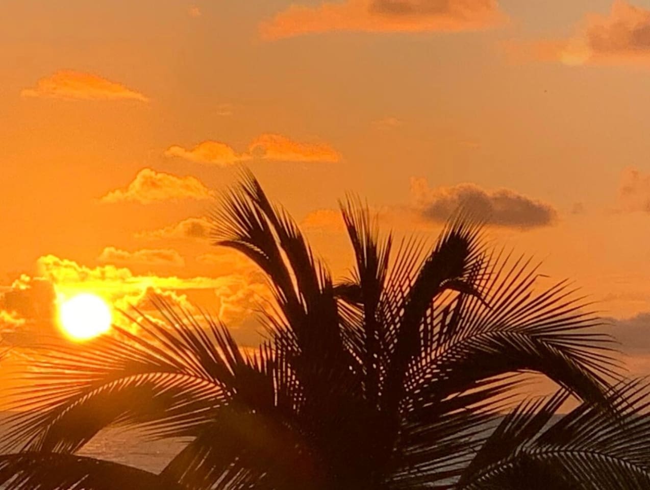The most amazing sunsets.