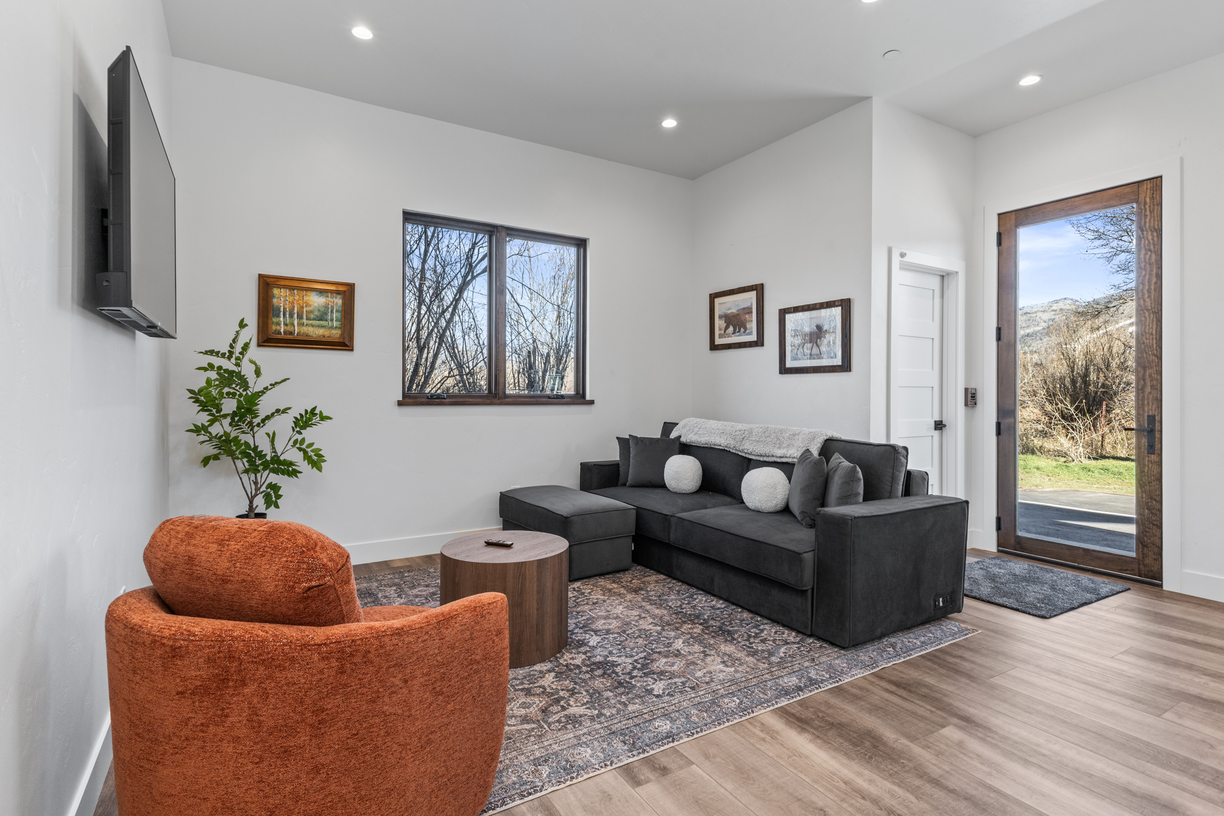 Living Room | Outdoor Access