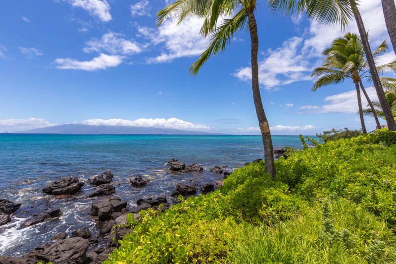 Hale Honu @ Mahina Surf