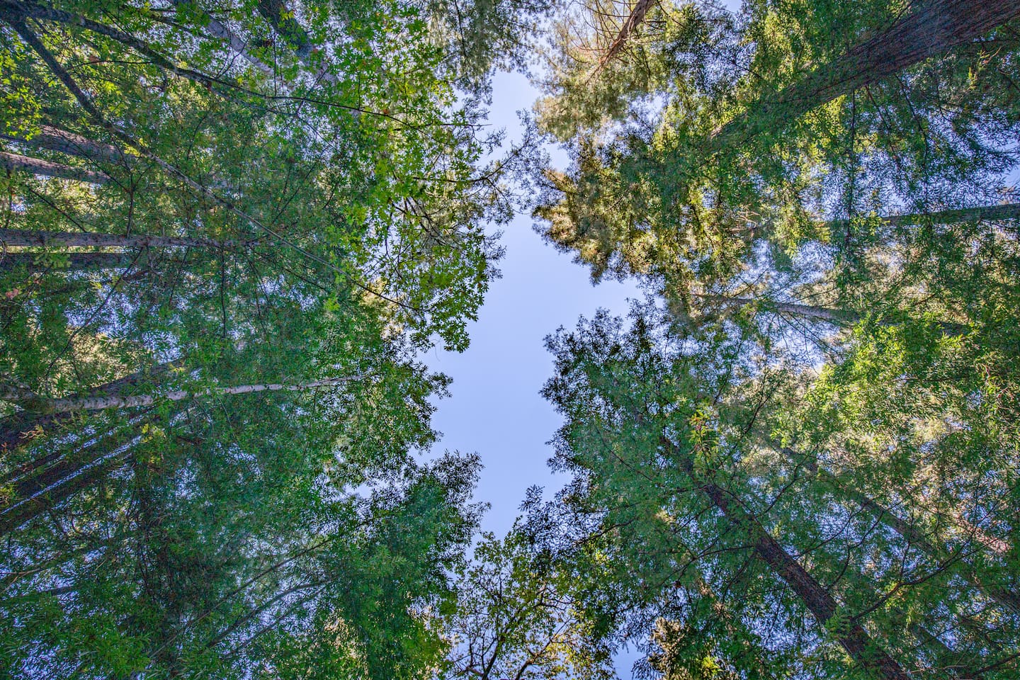 Get lost in the tranquility of nature. 