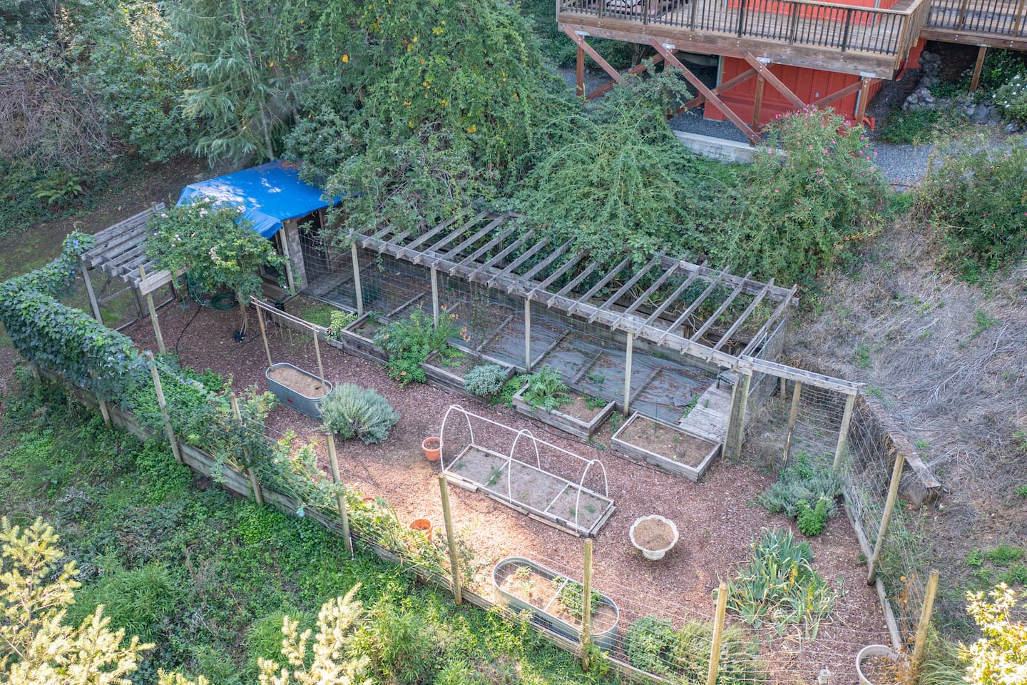 Spice up your stay by picking your own fresh flavors from the garden!