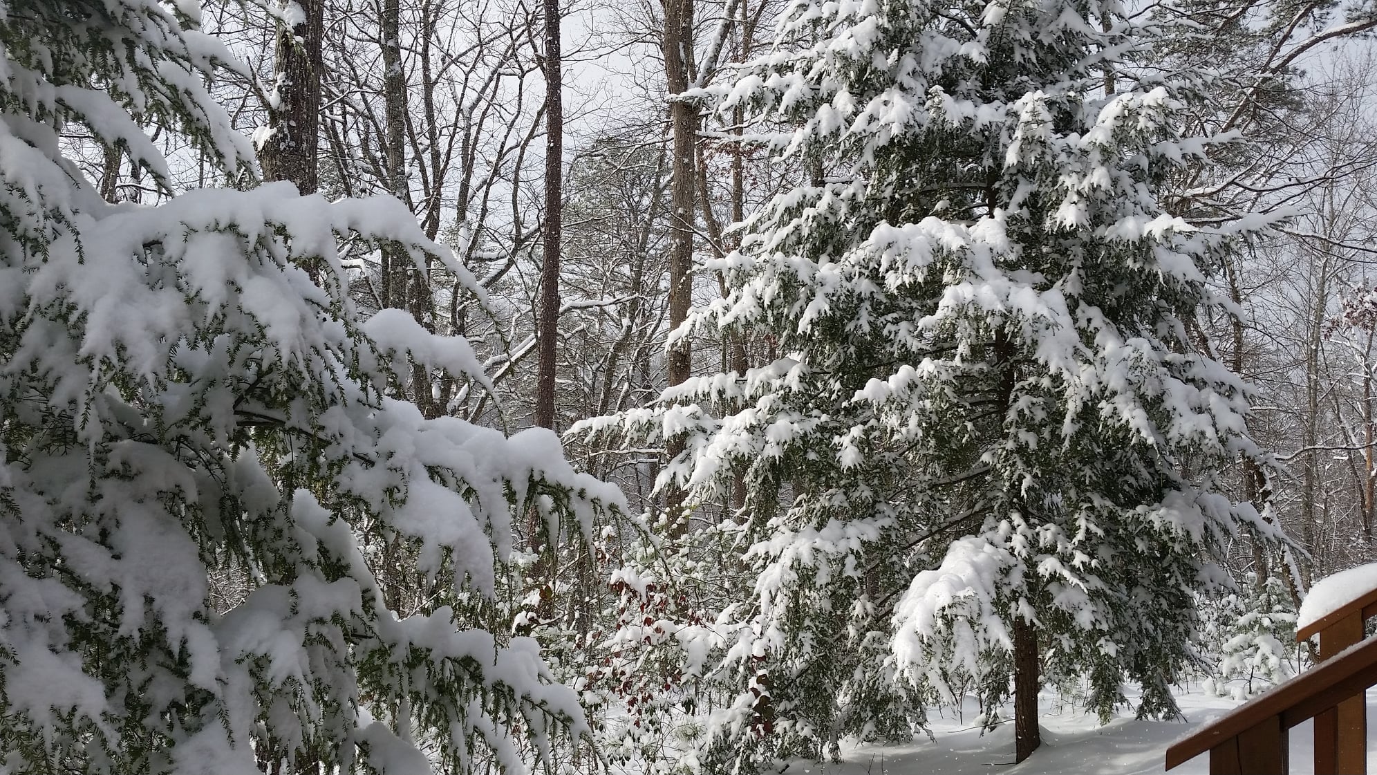 Appalachian Escape - Winter