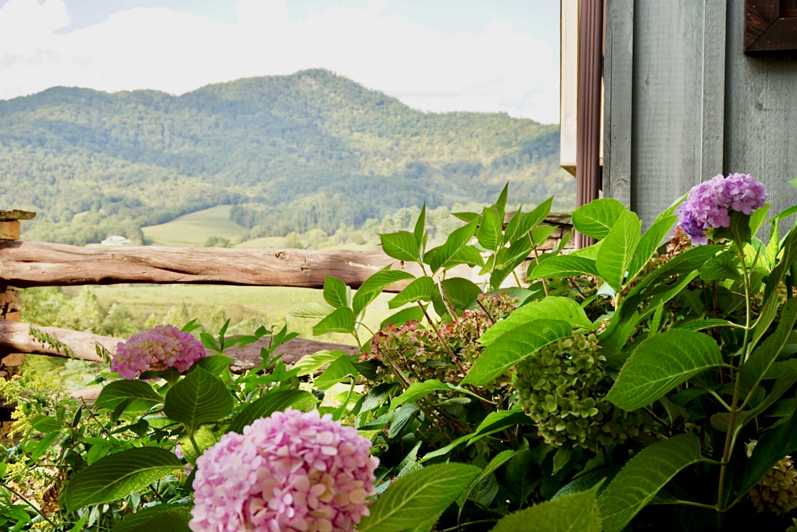Mountain views and blooming beauty. A perfect pairing.