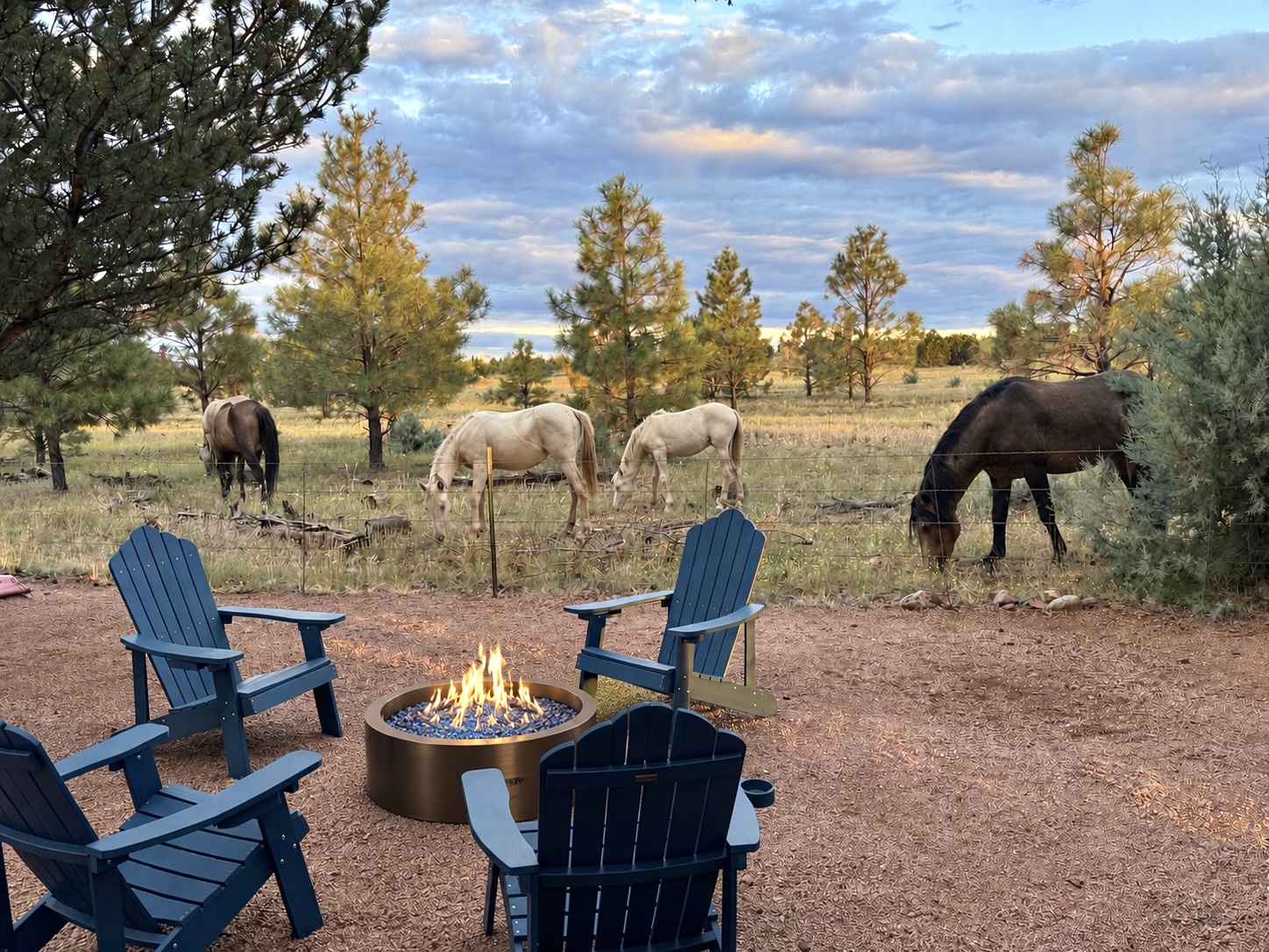 Mountain vibes, Mustangs and Must have amenities!