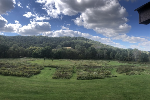 The outdoor bonfire area out in the wildflower field - there's plenty of room to roam.