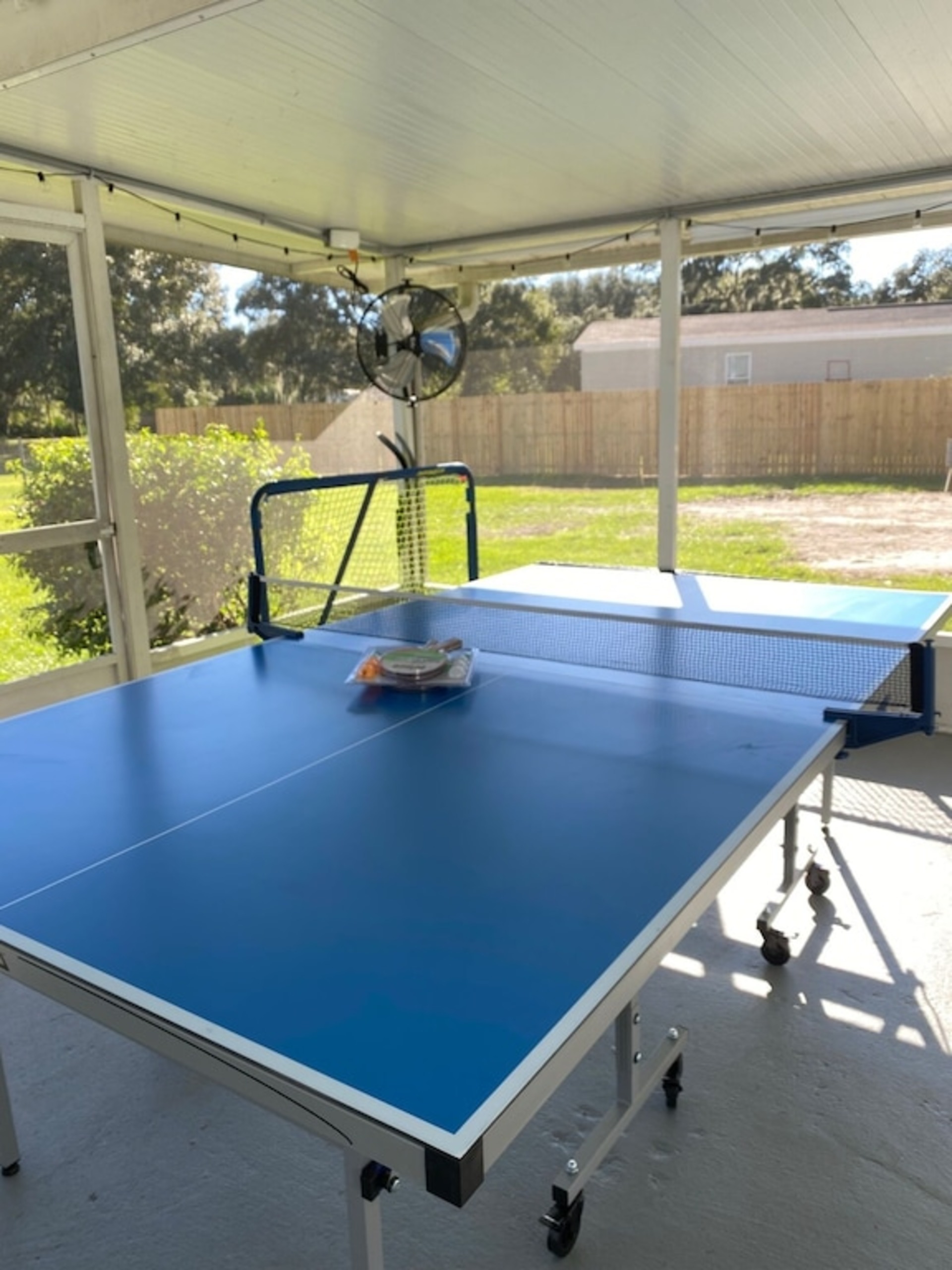 Ping Pong anyone?