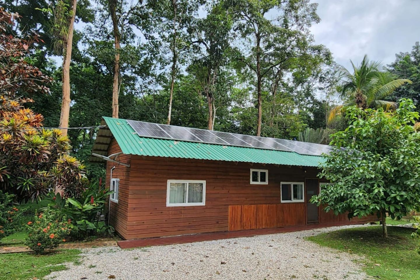 This is the outside space of the cabin, where you can see the plants and trees around. Beautiful