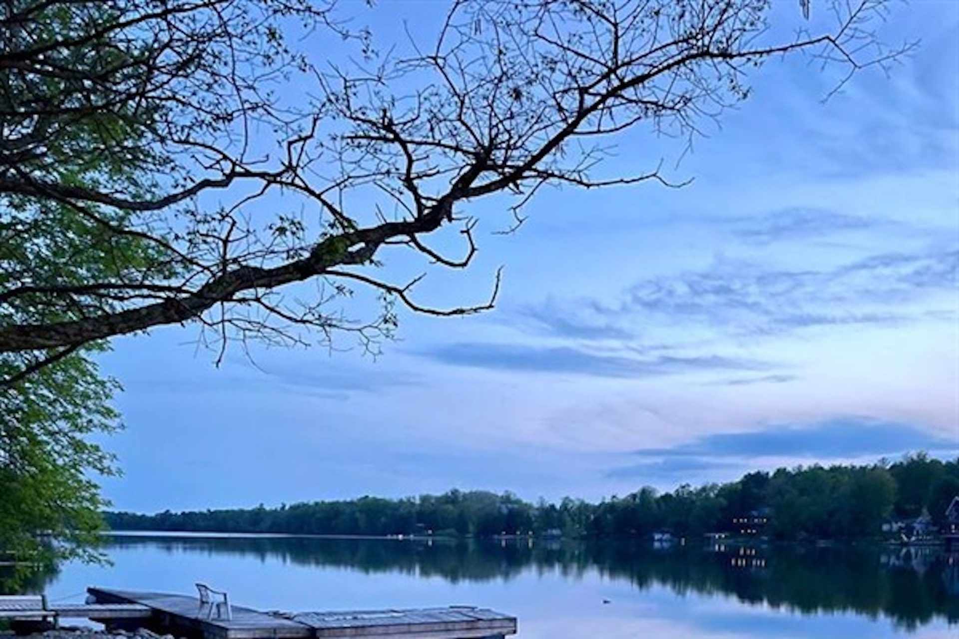 Peaceful waterfront view from Cottage #1