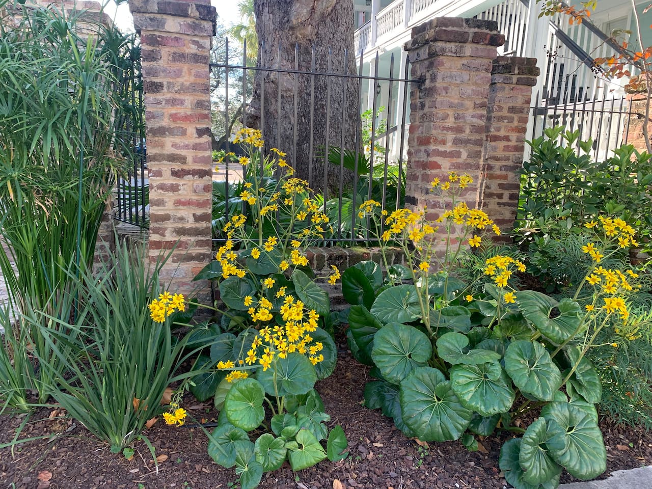 Beautiful landscaping throughout property