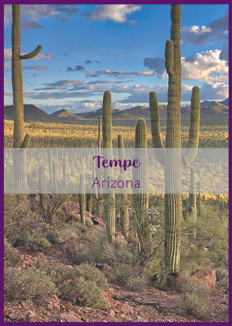 Tempe Vacation Rentals