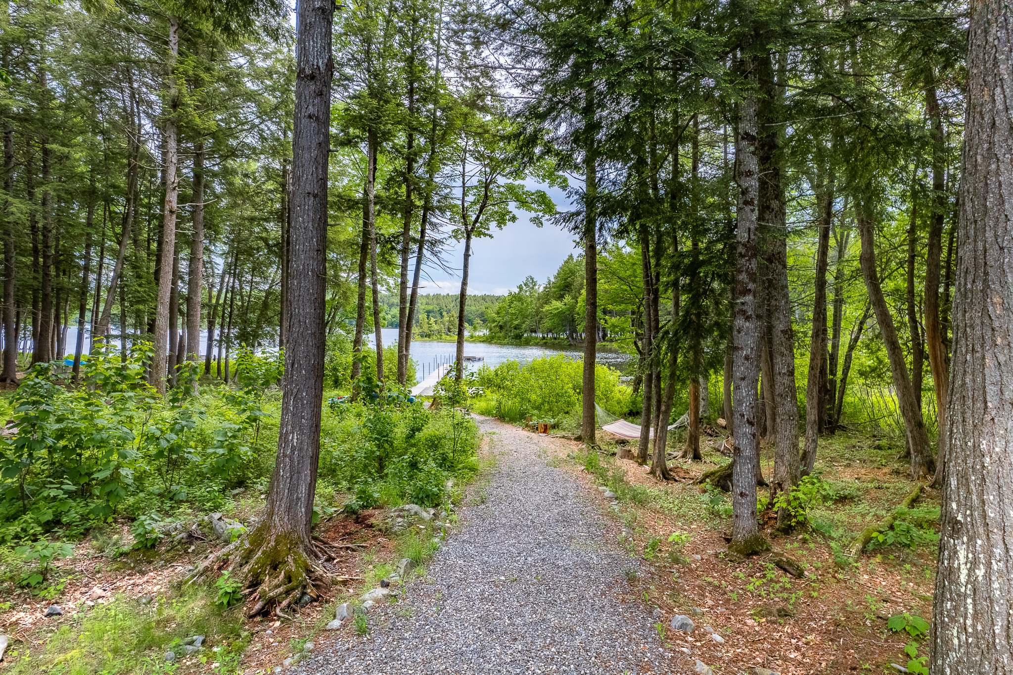 Path to the dock with hammock on the way.