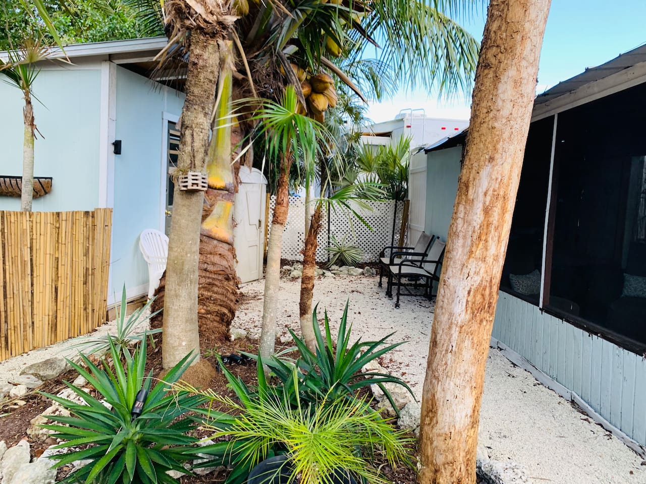 Backyard