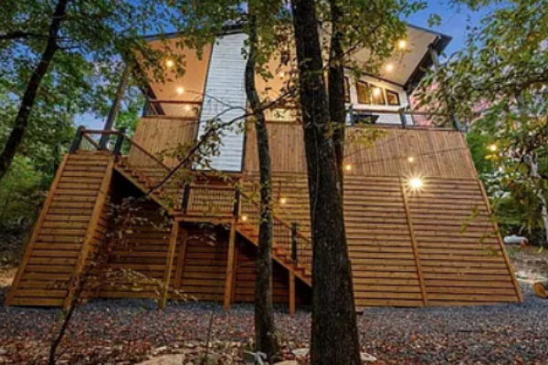 Unique elevated cabin design surrounded by natural woodland.