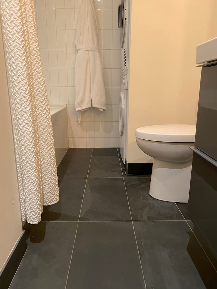 Laundry machine and dryer tuck in the corner beside toilette