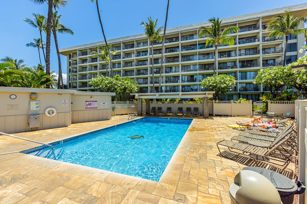 Loungers Poolside for Guest Use